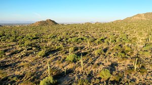 DJI_0125.JPG