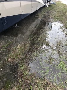 IMG_7656.jpg