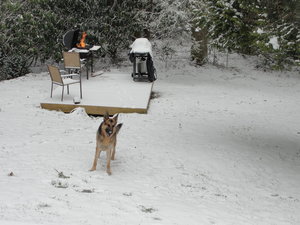 snow 055.JPG