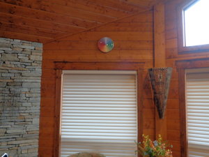 DSC02879.JPG