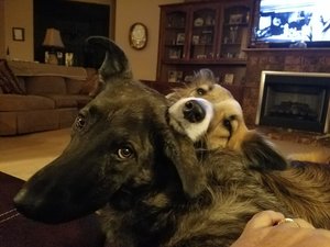 20180105_181000.jpg