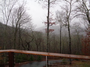 DSC03029.JPG