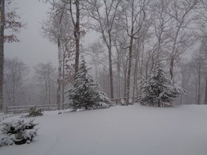 DSC03077.JPG