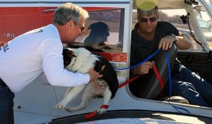 IMG_0008.JPG