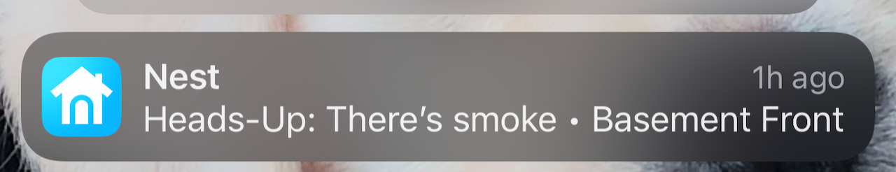 alert.png