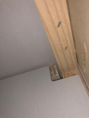IMG_3960.jpeg
