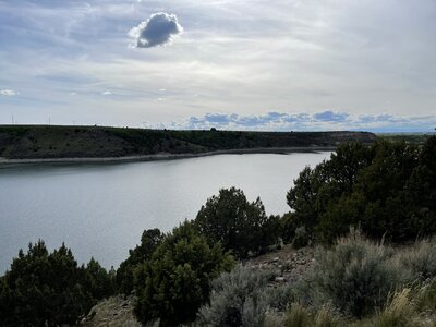 0C139424-B97A-432C-98B8-8224388524D7.jpeg