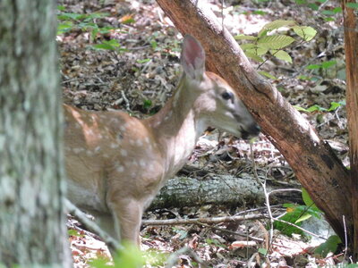 DSCN8989.JPG