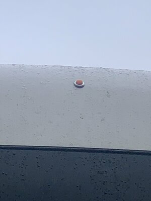 IMG_6696.jpeg