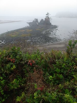 IMG_20221029_091039070.jpg