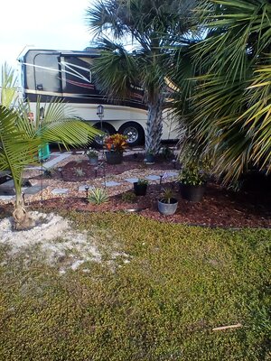 IMG_20221230_083324.jpg