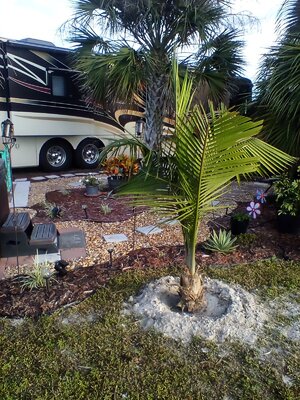 IMG_20221230_083335.jpg