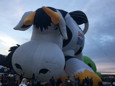 0B14068F-C10D-40F3-A75A-6247200F9C9B.jpeg