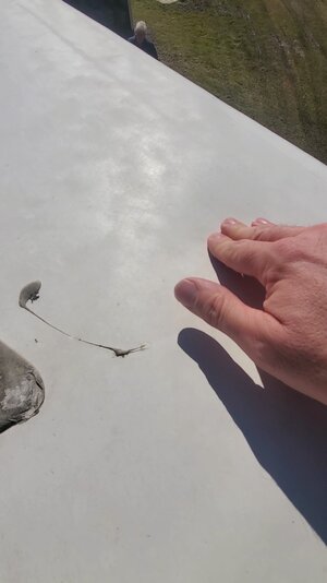 VideoCapture_20230227-082228.jpg