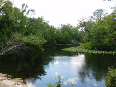 DSCN0726.JPG