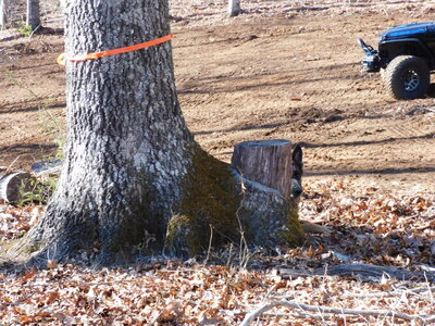 DSCN0902.JPG
