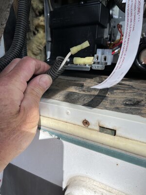 IMG_2725.jpeg
