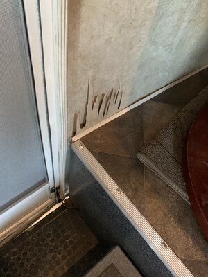 IMG_8807.jpeg