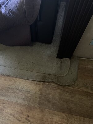 IMG_2131.jpeg