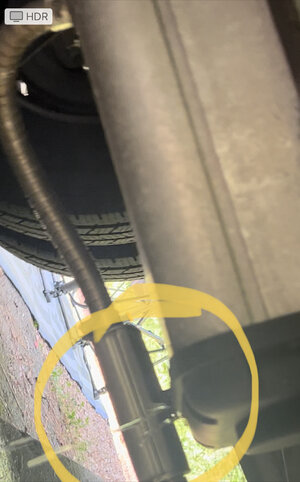 IMG_7207.jpeg