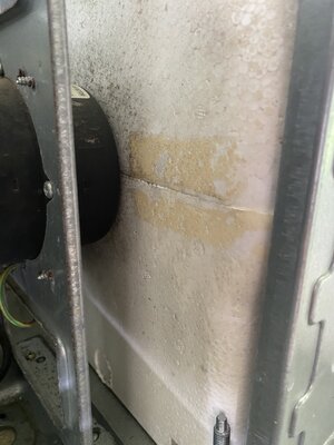 IMG_3282.jpeg