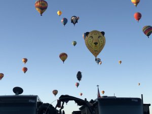 IMG_3447.jpg