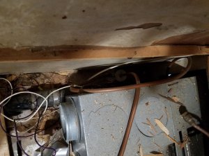 thumbnail (1).jpg