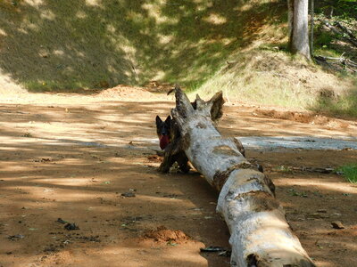 DSCN2152.JPG