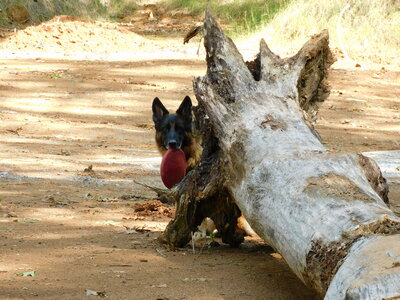 DSCN2151.JPG