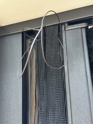 IMG_6399.jpeg