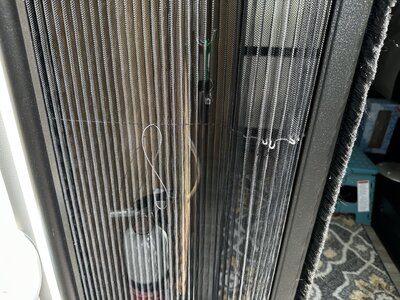 IMG_6369.jpeg
