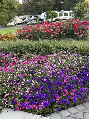 IMG_8719.jpeg