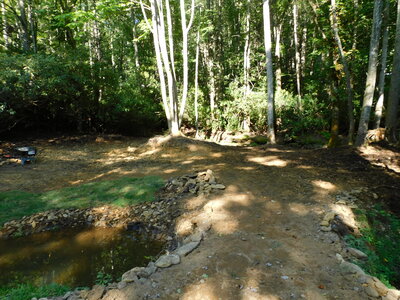 DSCN2206.JPG