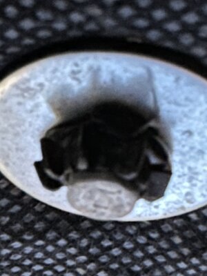 IMG_2750.jpeg