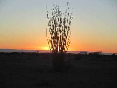 01 08 Jan 03 2018  American Girl Mine Road BLM.JPG