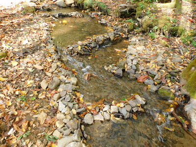 DSCN2687.JPG