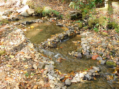 DSCN2692.JPG