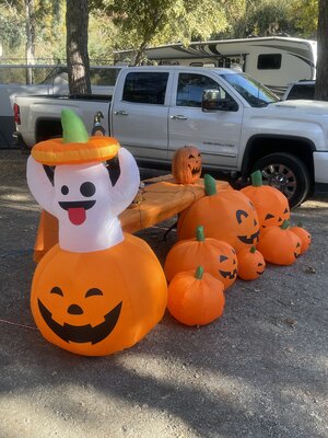 IMG_7353.jpeg