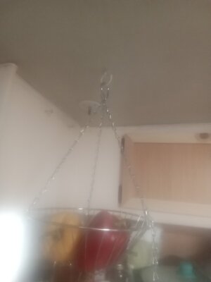 20240128_082908.jpg