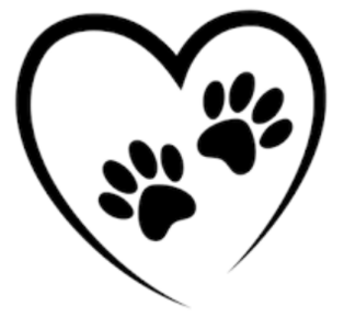 1711372503990.png