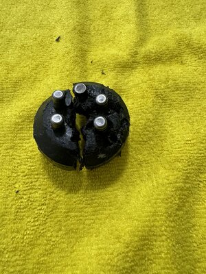 IMG_3070.jpeg