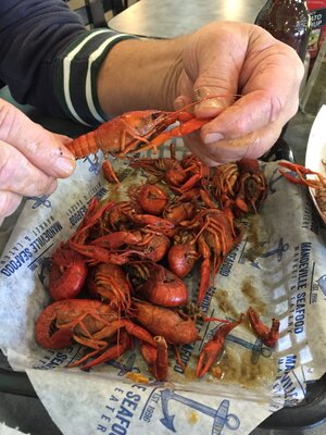 1 2020 02 (February) 22 Mandeville Louisianna - Seafood Market - Crayfish.JPG
