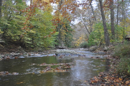 2022  10 (October) 23 Lyndell Pennsylvania - Brandywine Creek.JPG