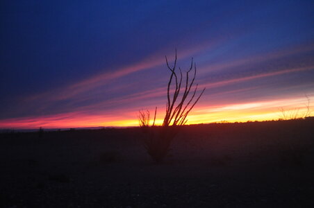 2022 02 (February) 27 Winterhaven California - American Girl Mine BLM - Deseret Sunset.JPG