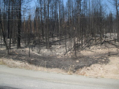 01 12 August 25 2021 Coquihalla Wildfire.JPG