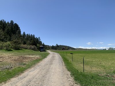 IMG_5542.jpeg