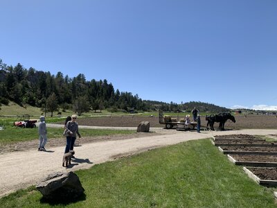 IMG_5539.jpeg
