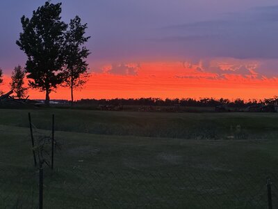 IMG_2902.jpeg