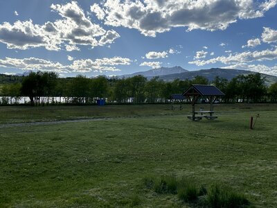 IMG_2961.jpeg