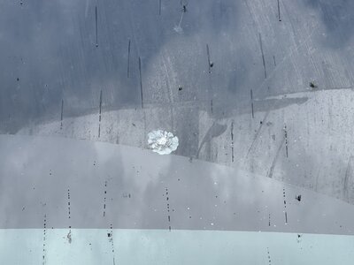 IMG_3036.jpeg